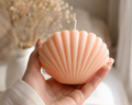 Shell Candle