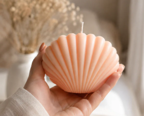 Shell Candle